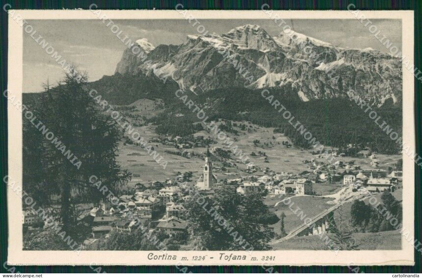 Belluno Cortina Cartolina ZKM8691 - Belluno