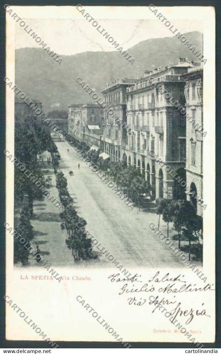 La Spezia Città Cartolina ZT6879 - La Spezia