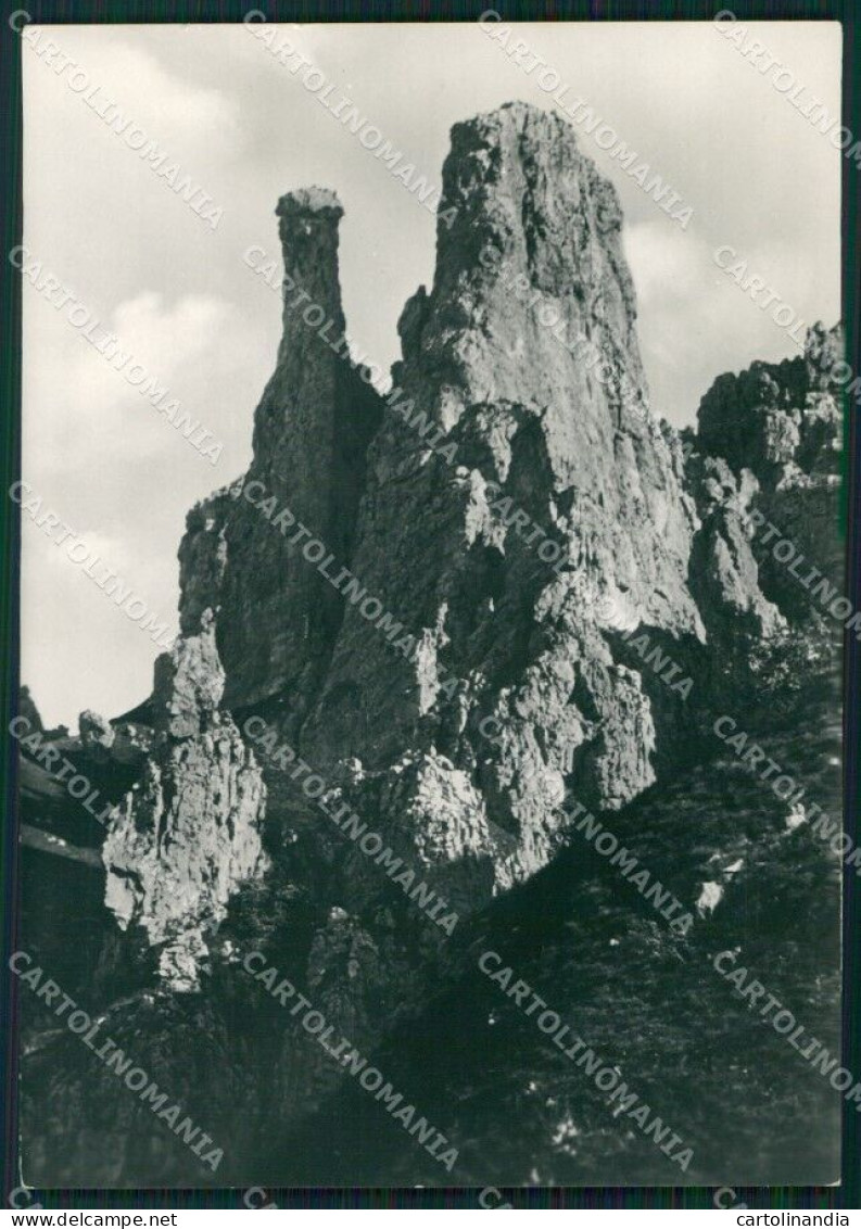 Lecco Grigna Meridionale Gruppo Del Fungo Foto FG Cartolina KB4425 - Lecco