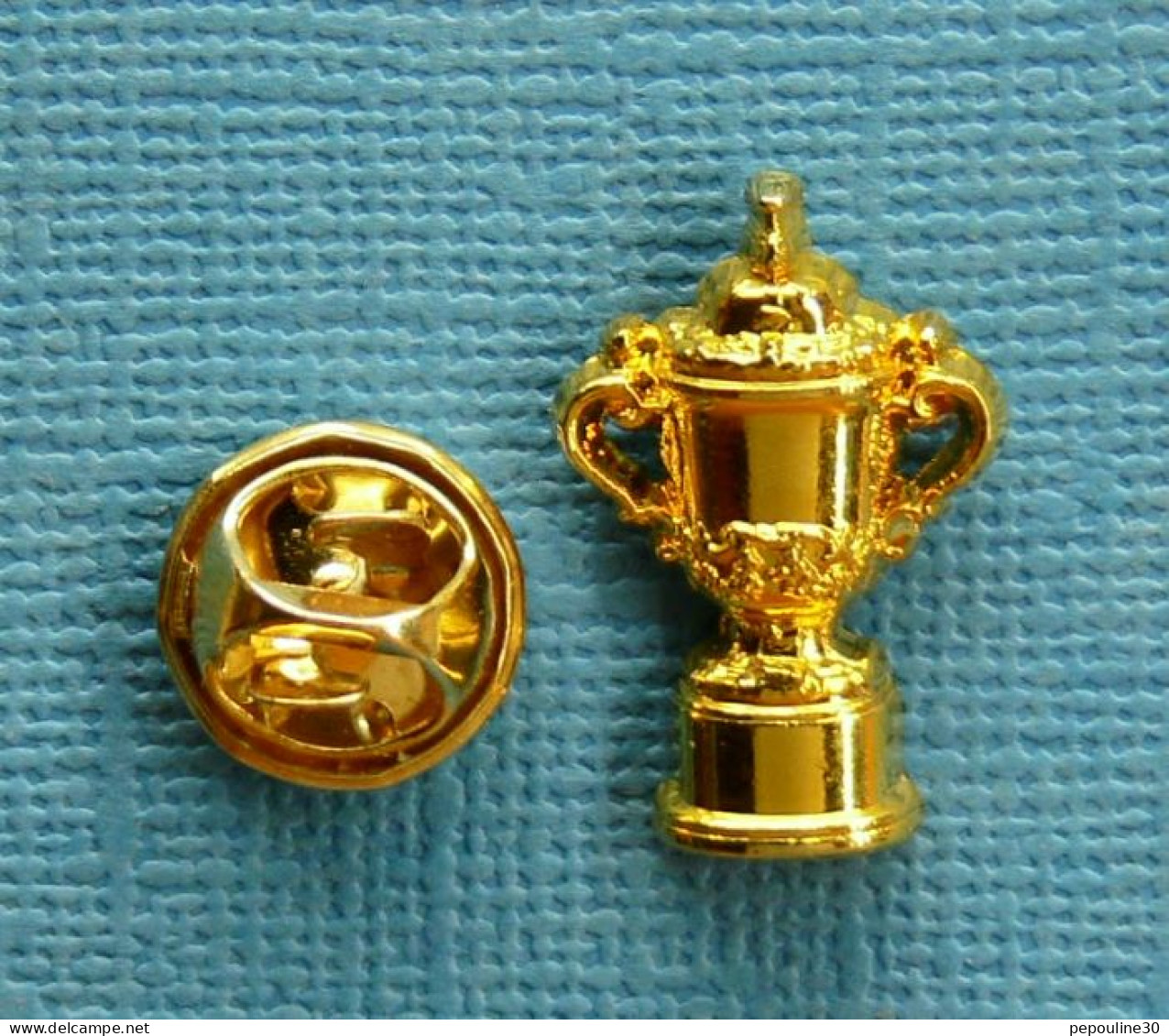 1 PIN'S /  ** TROPHÉE RUGBY / COUPE DU MONDE 2007 ** . (™© RWC Ltd 1986 Arthus Bertrand) - Rugby