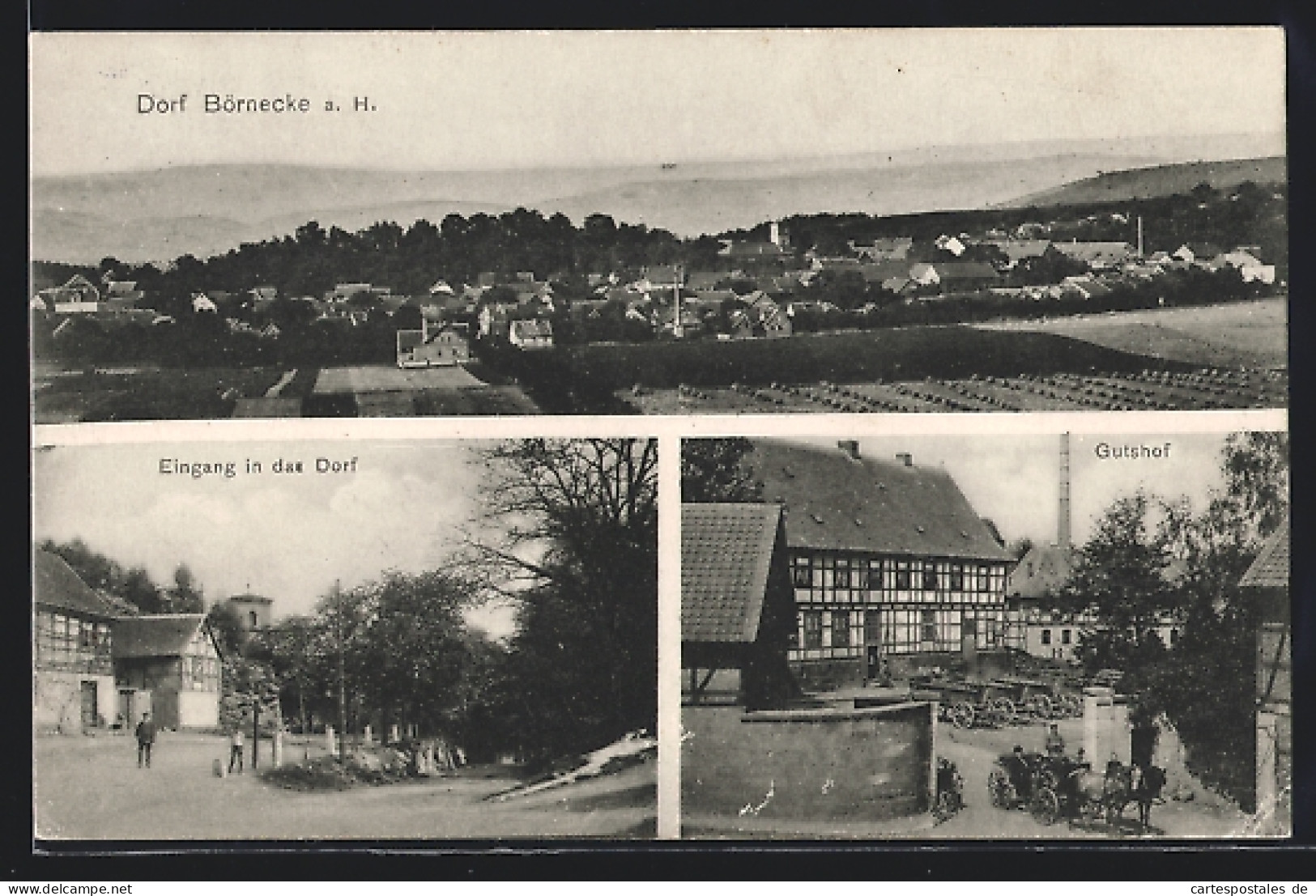 AK Börnecke / Blankenburg, Gesamtansicht, Dorfeingang, Gutshof  - Blankenburg