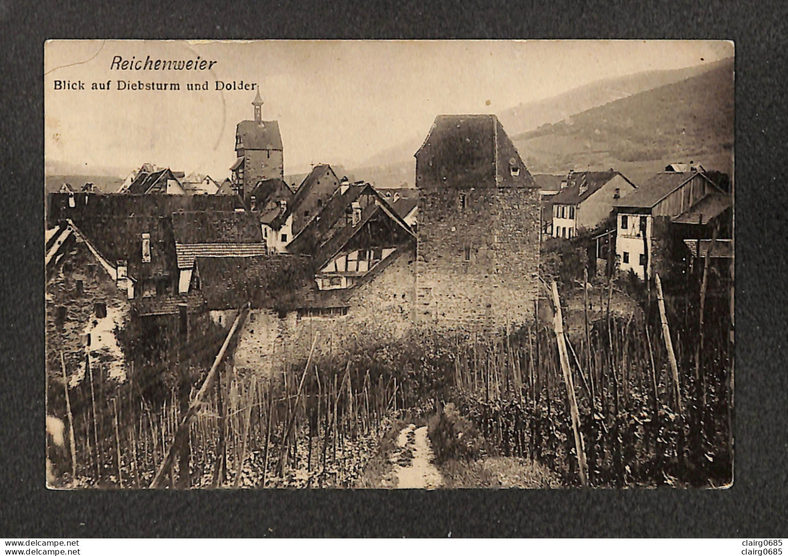 68 - REICHENWEIER - RIQUEWHIR - Blick Auf Diebsturm Und Dolder - Riquewihr