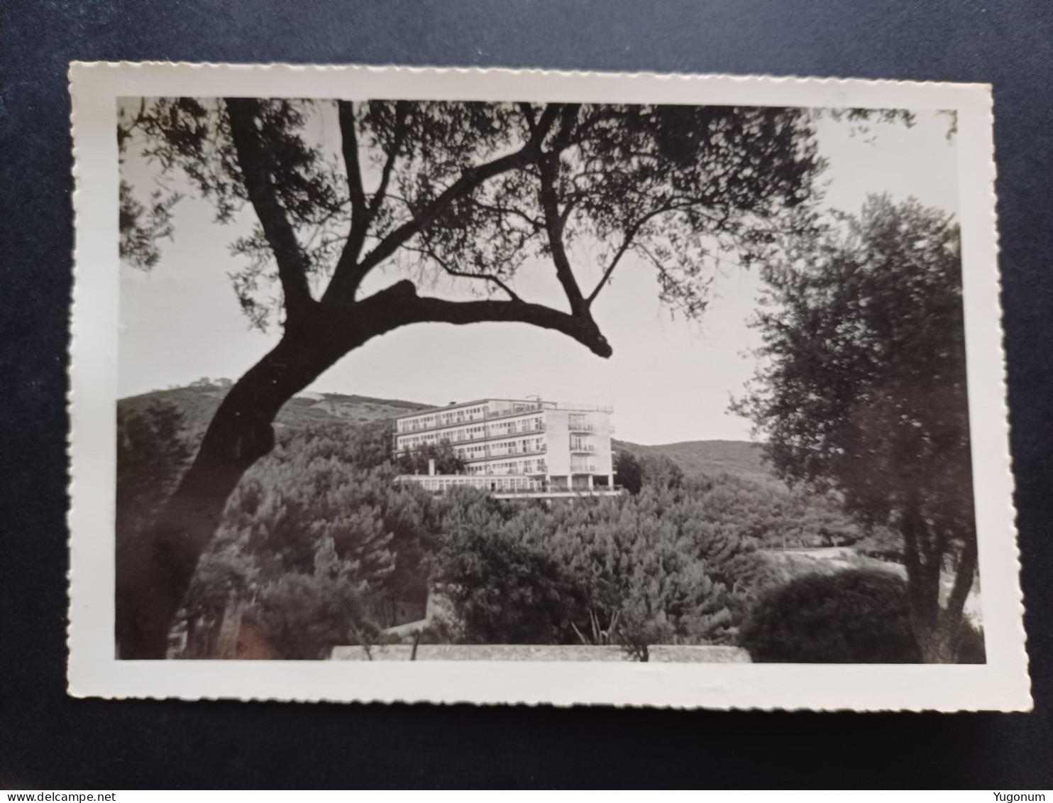 Yugoslavia, Slovenia 1957  Postcard Ulcinj Sent To Begrad,  With Stamp Herceg Novi (No 3049) - Sonstige & Ohne Zuordnung