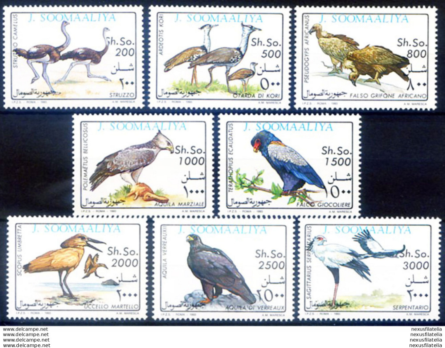 Fauna. Uccelli 1993. - Somalia (1960-...)