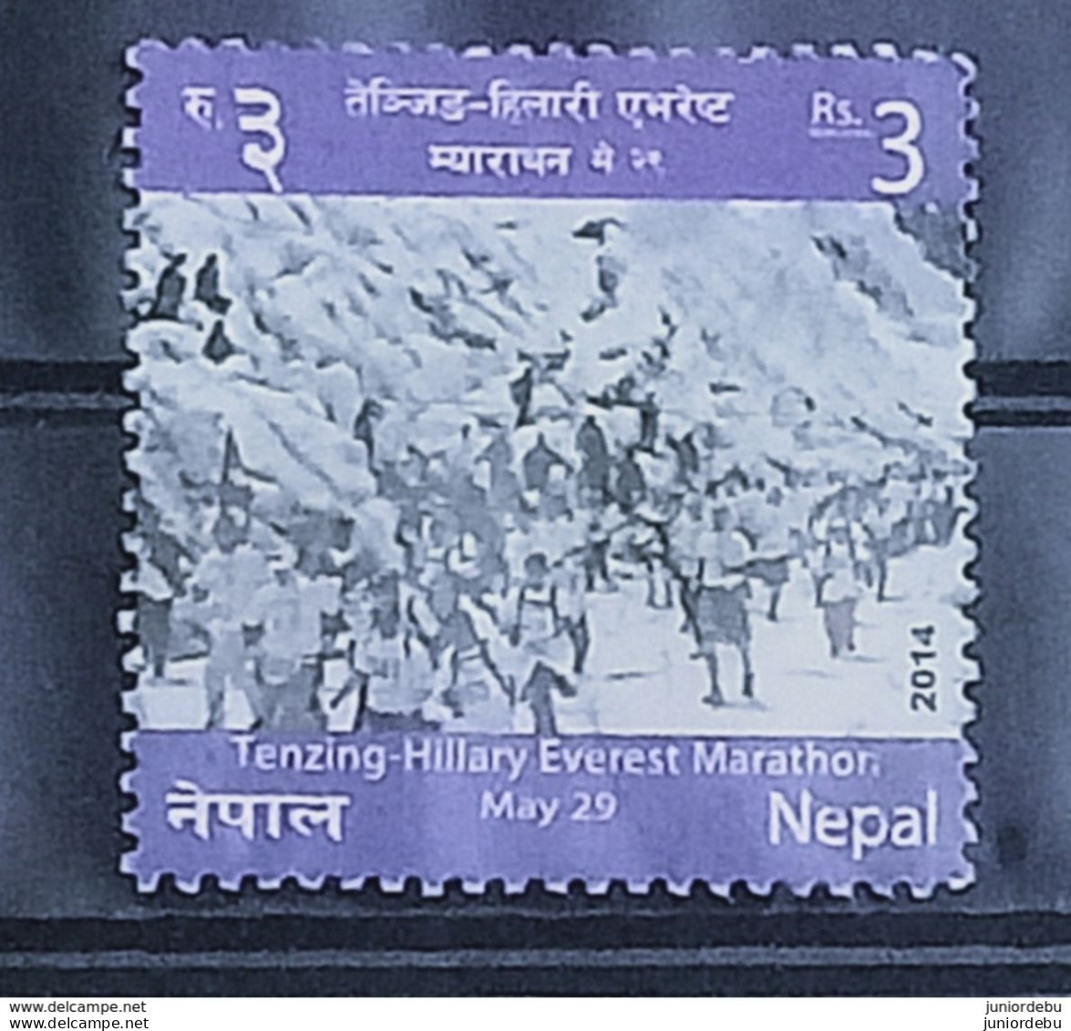 Nepal - 2014 - Tenzing-Hillary Everest Marathon   -  USED, (D) ( Condition As Per Scan) (OL 20/03/2020) - Népal