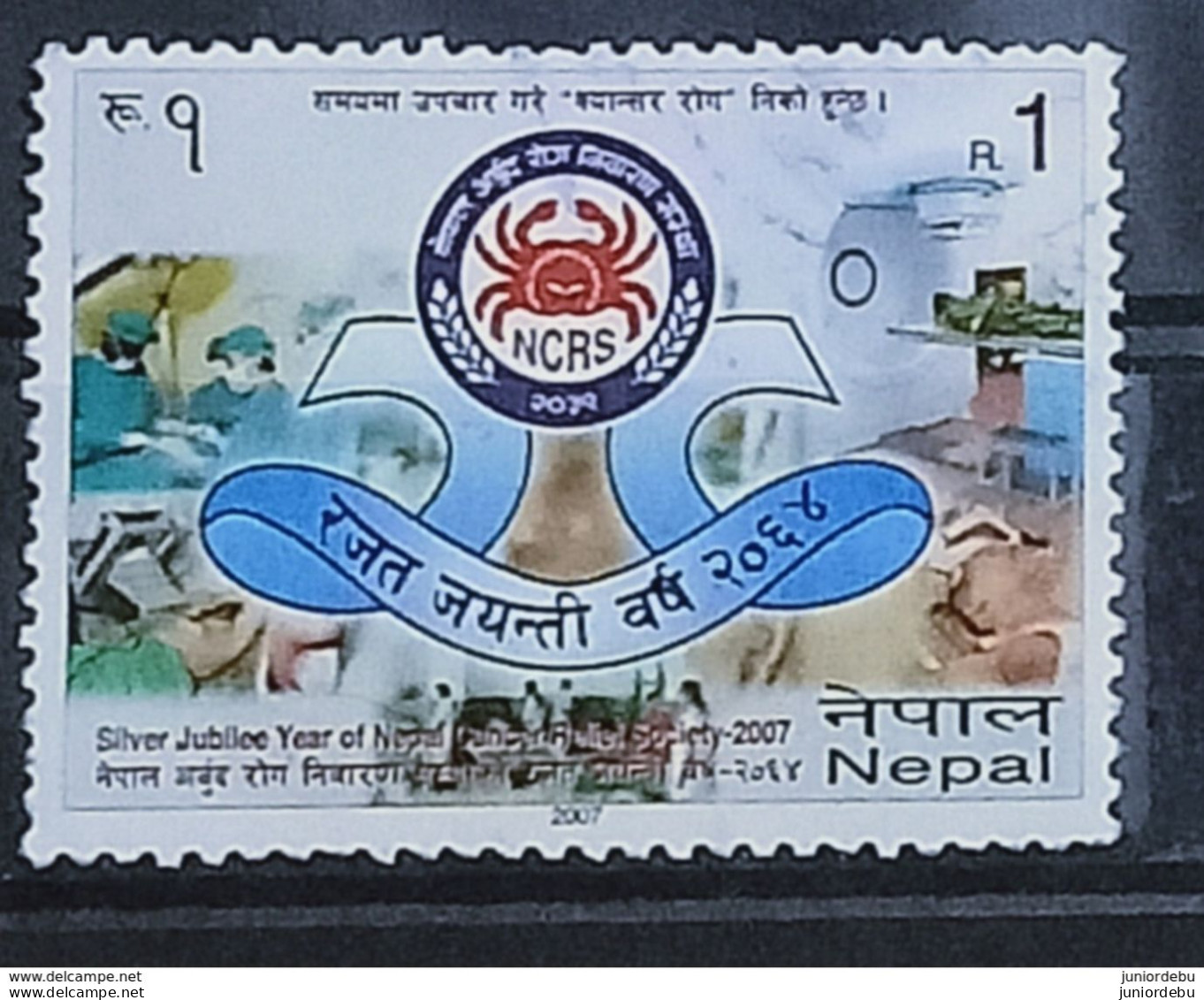 Nepal - 2007 - Nepal Cancer Relief Society . -  USED, (D) ( Condition As Per Scan) ( OL 20/03/2020 ) - Nepal