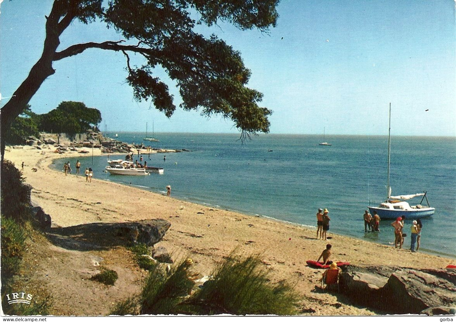 *CPM- 85 - ILE DE NOIRMOUTIER -  La Pointe Saint Pierre - Ile De Noirmoutier