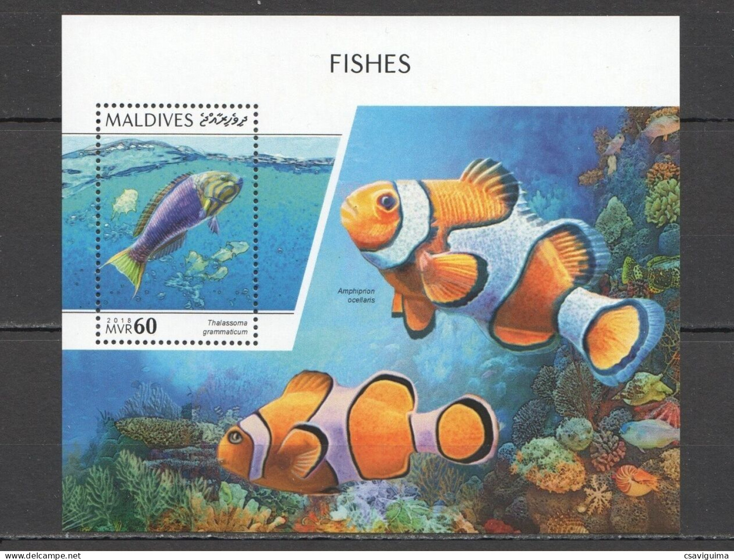 Maldives - 2018 - Fishes - Yv Bf 1242 - Fishes