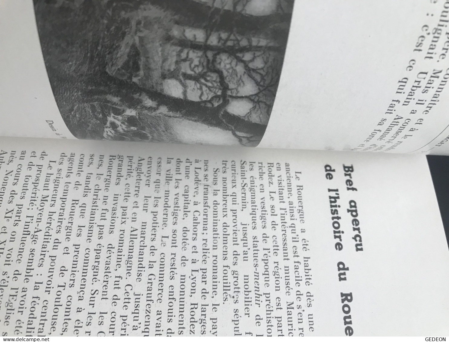2 livres de 1938: les lampions du calvaire & petit guide officiel de la foire exposition de Rodez. 1938