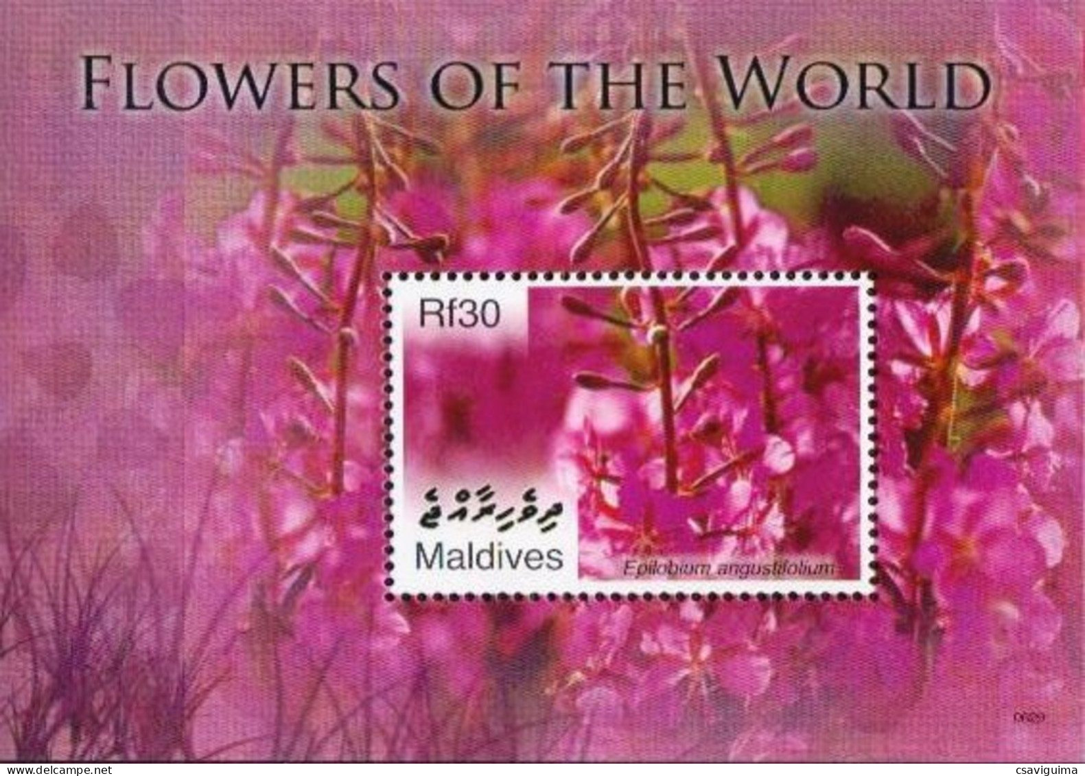 Maldives - 2007 - Flowers Of The World - Yv Bf 585 - Autres & Non Classés