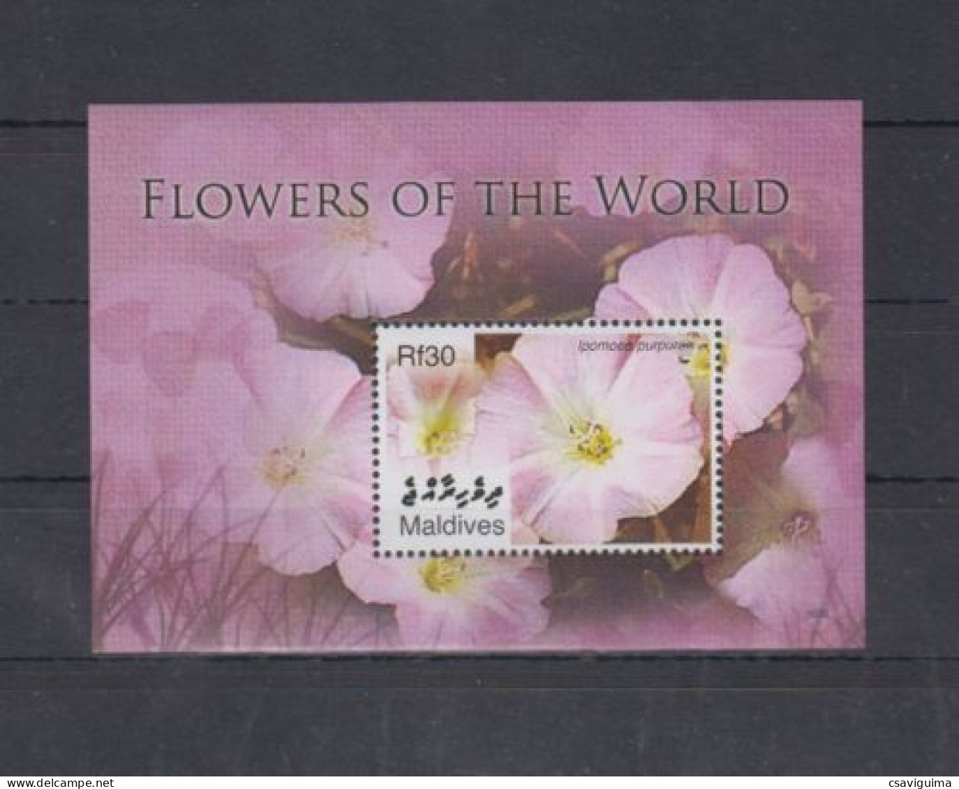 Maldives - 2007 - Flower Of The World - Yv Bf 589 - Autres & Non Classés