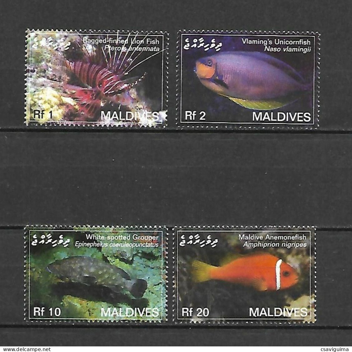 Maldives - 2007 - Fishes - Yv 3782/85 - Fishes