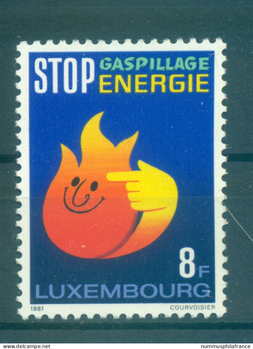 Luxembourg 1981 - Y & T N. 990 - Economie D'énergie (Michel N. 1040) - Nuevos