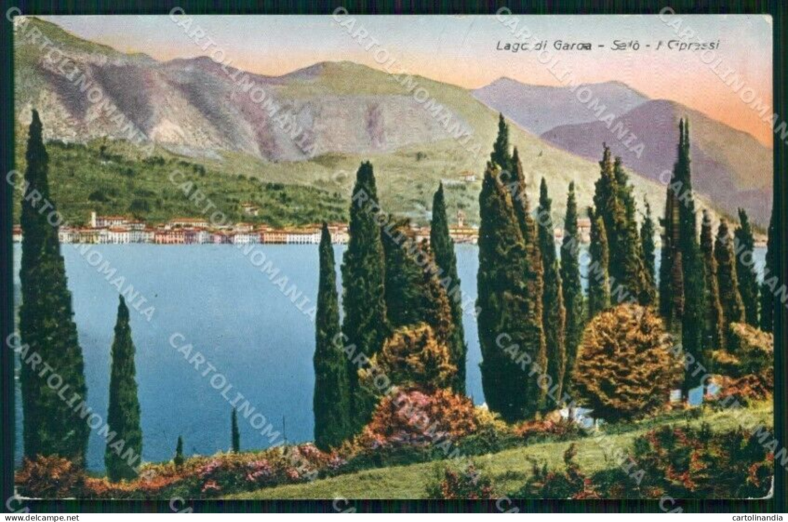 Brescia Salò Lago Di Garda Cipressi Cartolina RT1239 - Brescia