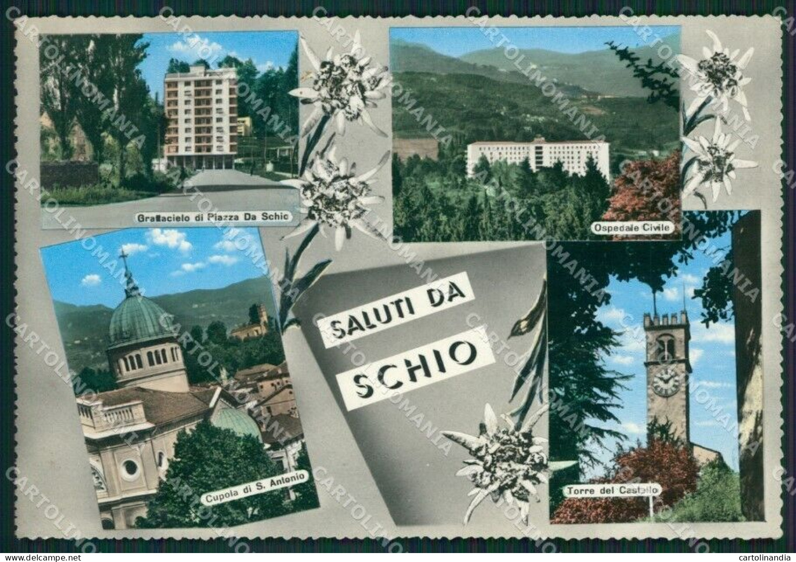 Vicenza Schio Saluti Da Foto FG Cartolina ZKM8001 - Vicenza