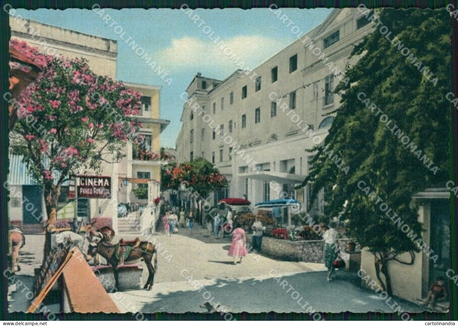 Napoli Capri Cinema FG Cartolina ZK0885 - Napoli