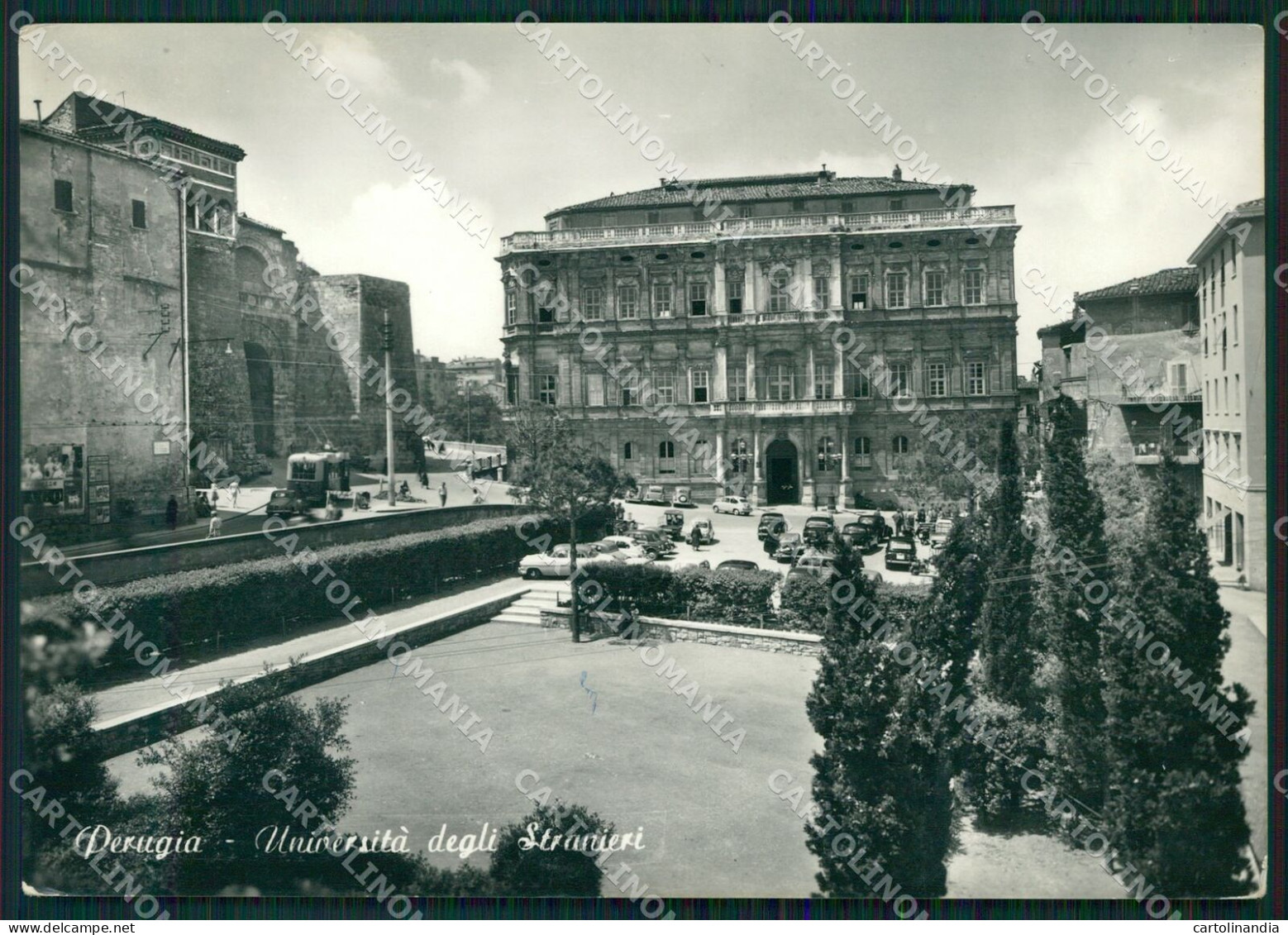 Perugia Città Università FG Foto Cartolina KB4608 - Perugia