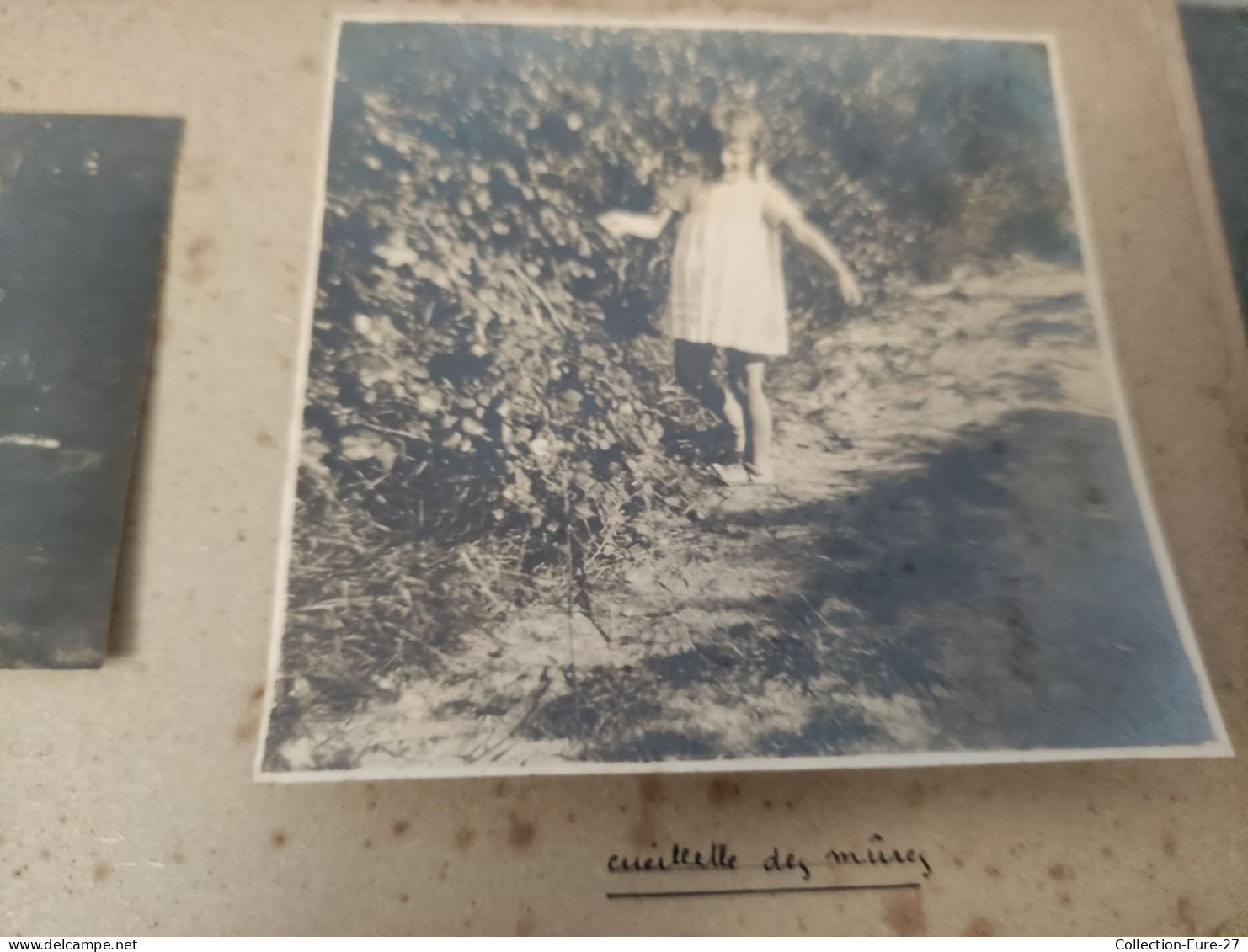 (18/04/24) 44-PHOTOS PREFAILLES - ENSEMBLE DE 42 PHOTOS DE FAMILLES à PREFAILLES EN 1925