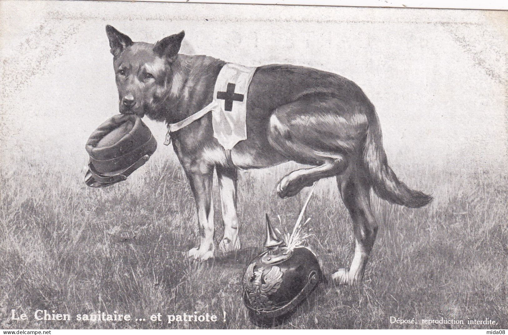 MILITARIA . PATRIOTIQUES . Le Chien Sanitaire ...et Patriote . Croix Rouge - Heimat