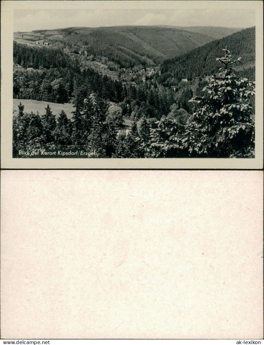 Ansichtskarte Kipsdorf-Altenberg (Erzgebirge) Blick Auf Die Stadt 1956  - Kipsdorf