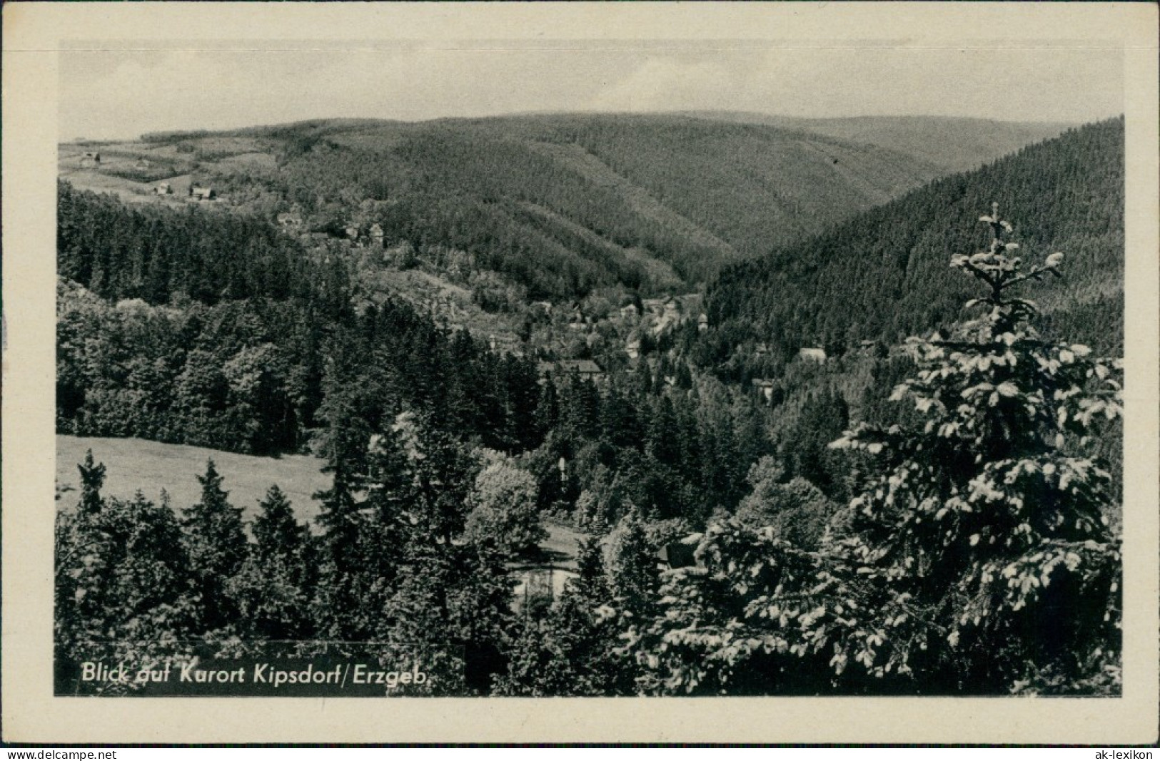 Ansichtskarte Kipsdorf-Altenberg (Erzgebirge) Blick Auf Die Stadt 1956  - Kipsdorf