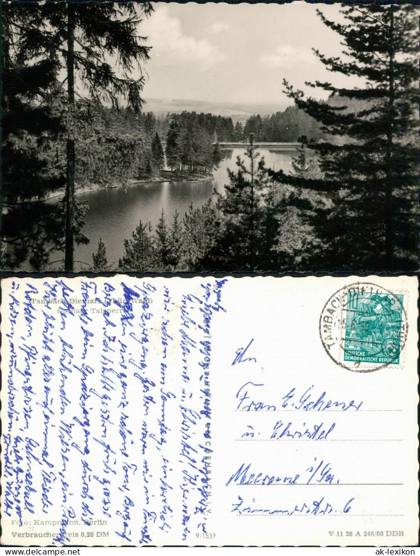 Ansichtskarte Tambach-Dietharz Gothaer Talsperre 1960 - Tambach-Dietharz