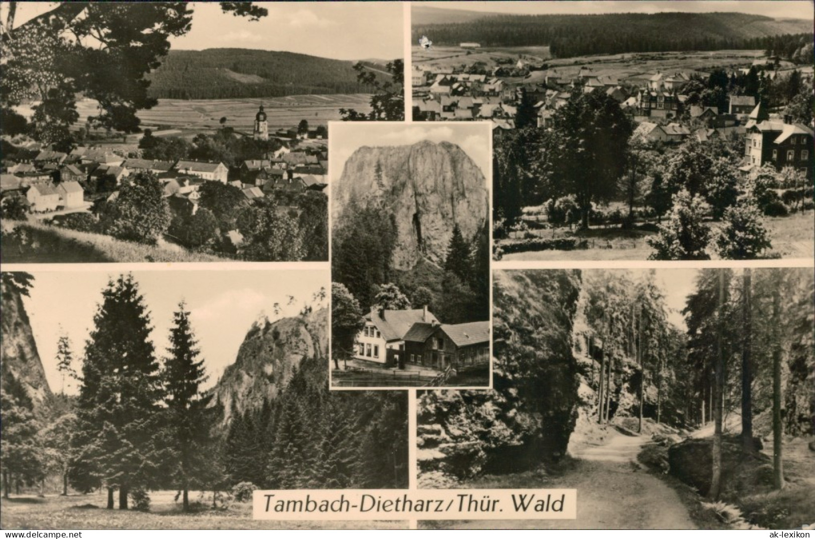 Ansichtskarte Tambach-Dietharz Panorama, Felsen, Wanderweg, Landschaft 1975 - Tambach-Dietharz