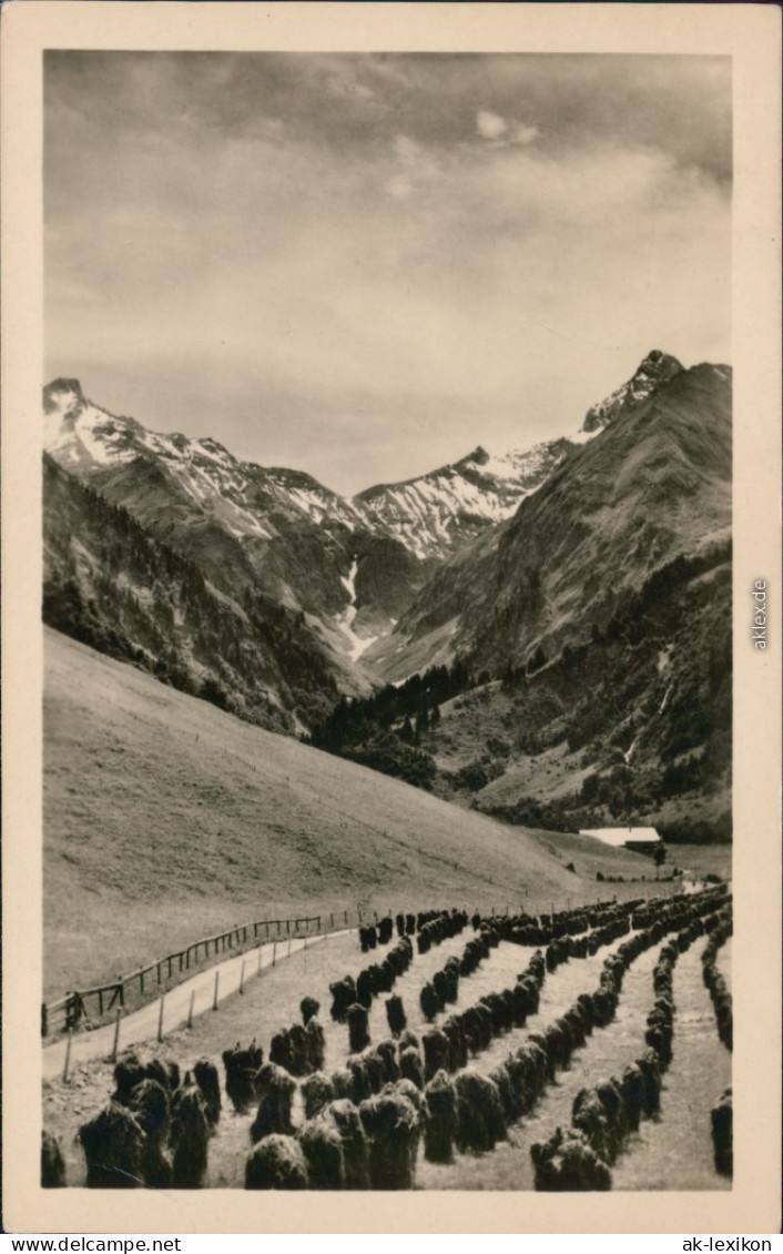 Ansichtskarte  Blick Auf Die Berge Und Die Heuernte 1957 - Non Classés