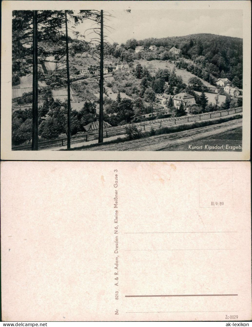 Ansichtskarte Kipsdorf-Altenberg (Erzgebirge) Teilansicht 1959 - Kipsdorf