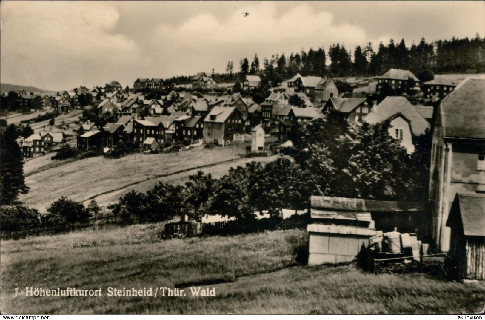 Ansichtskarte Steinheid-Neuhaus Am Rennweg Blick Auf Den Ort 1957 - Neuhaus