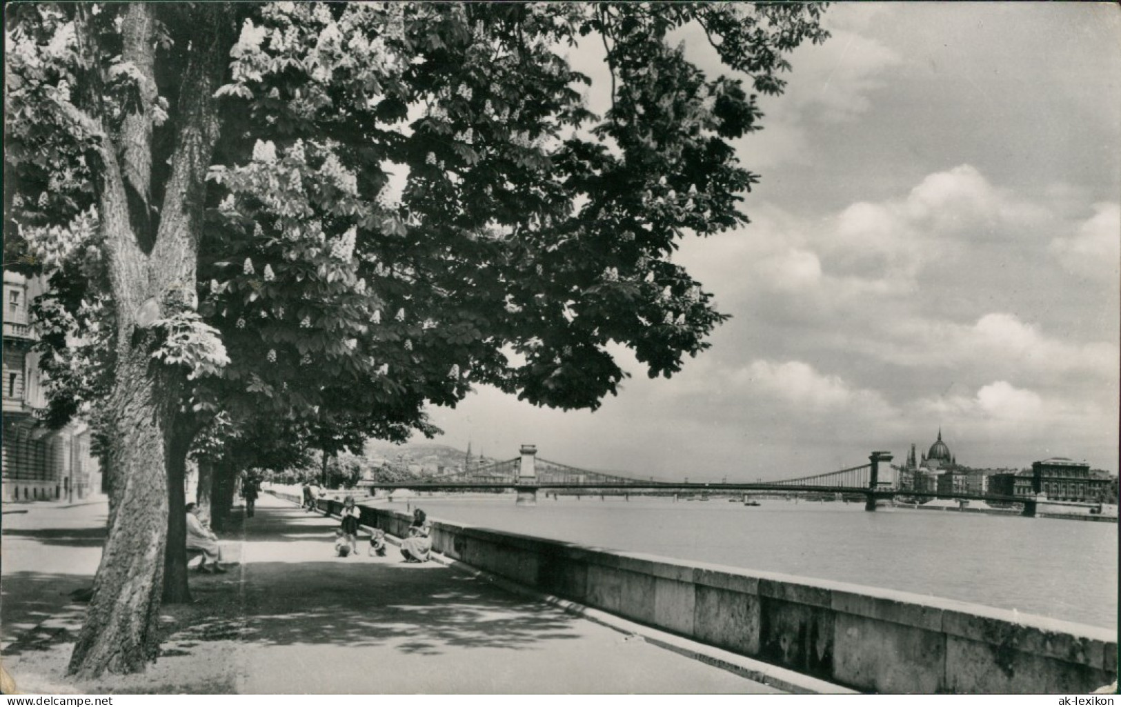 Postcard Budapest Látkép A Lánchiddal/Kettenbrücke 1957 - Ungheria