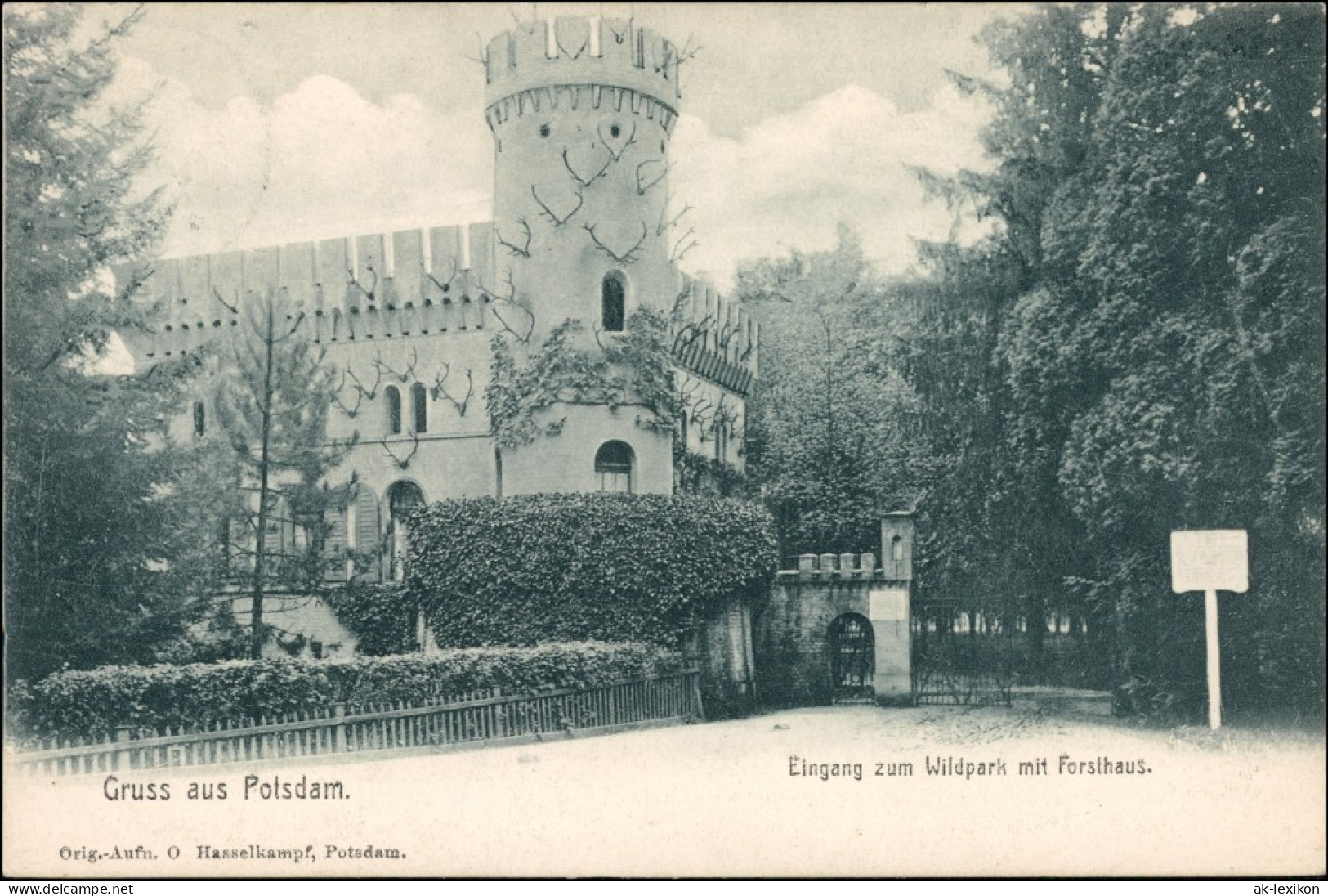 Ansichtskarte Potsdam Eingang Zum Wildpark Mit Forsthaus 1905  - Potsdam