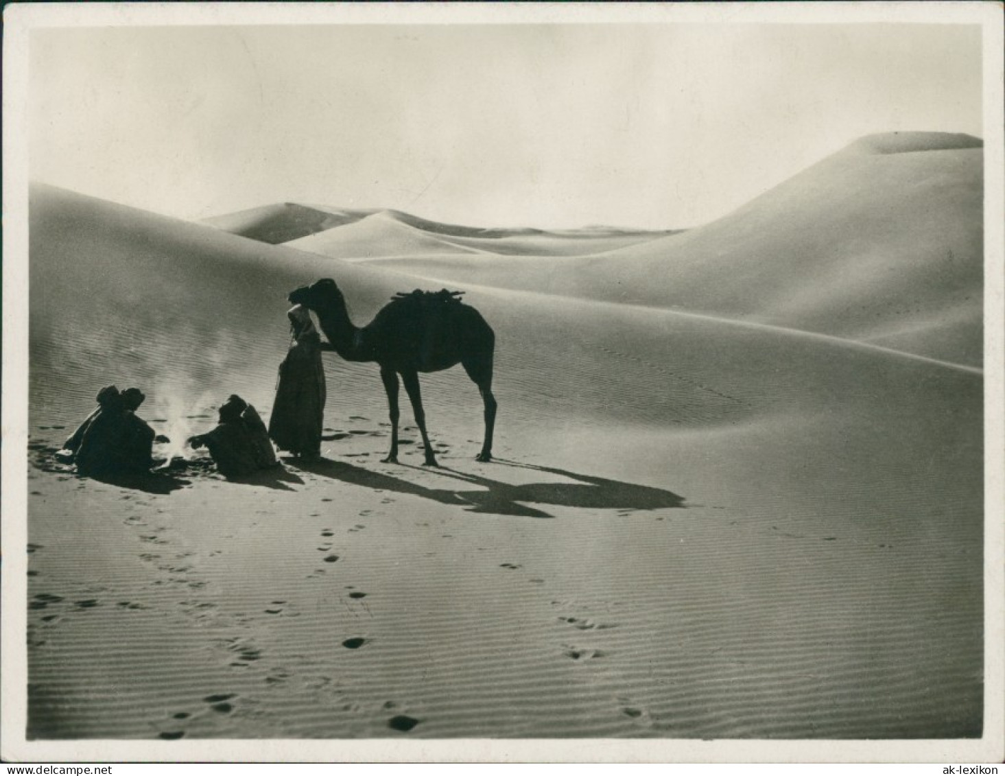 Kairo القاهرة Kamel Und Menschen Um Lagerfeuer In Der Wüste 1928 - Cairo