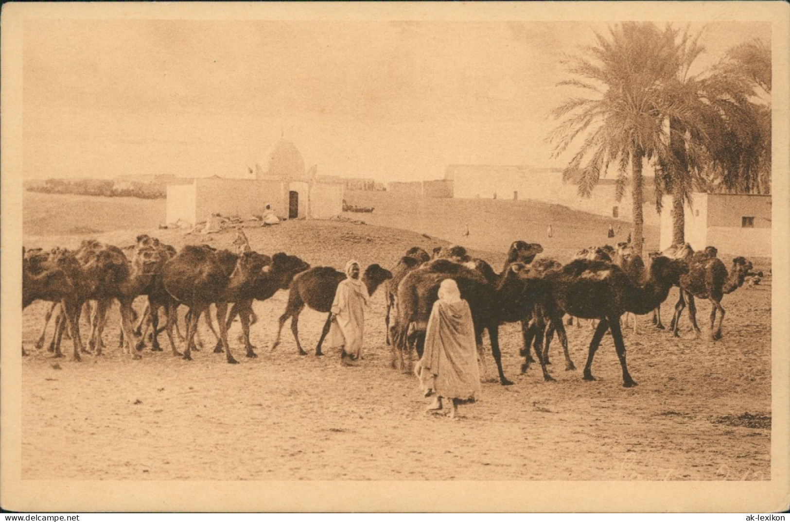 Postcard Biskra بسكرة Biskira Passage D'une Caravane 1926 - Biskra