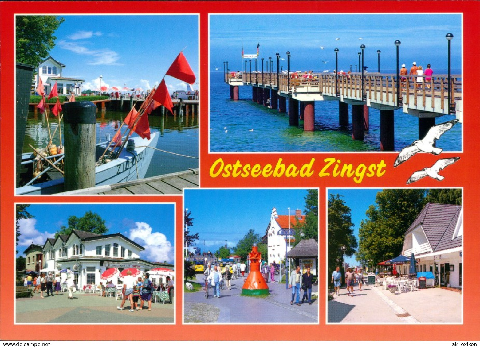 Ansichtskarte Zingst-Darss Seebrücke, Hafen, Gaststätte, Promenade 2003 - Zingst