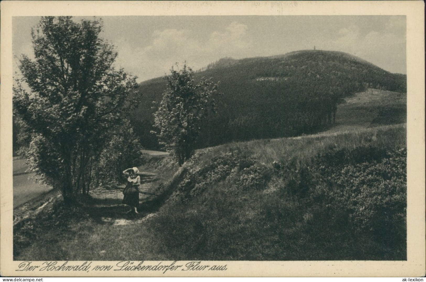 Ansichtskarte Oybin Hochwald Vom Lückendorfer Flur Aus 1922 - Oybin