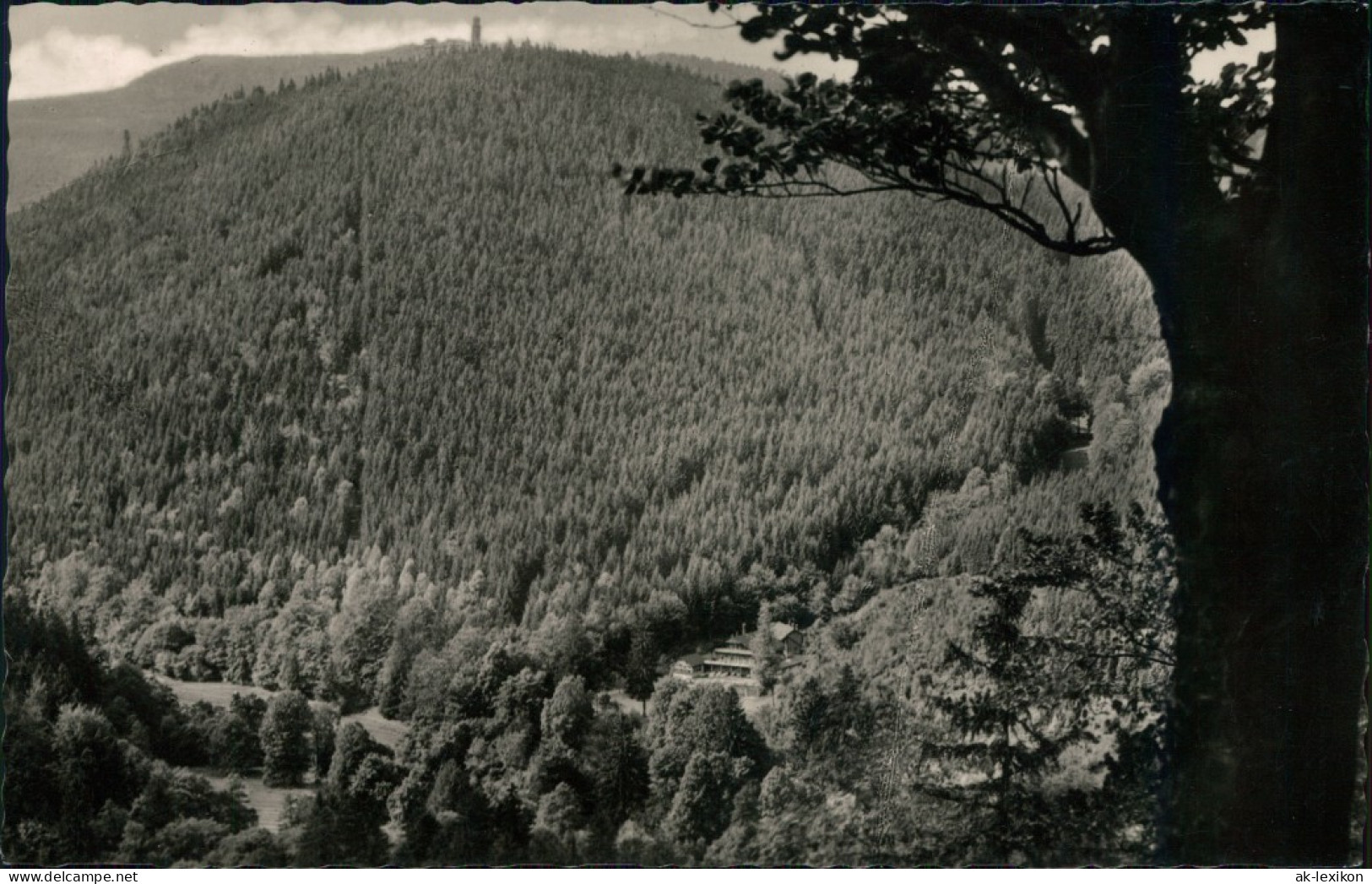 Ansichtskarte Tabarz/Thüringer Wald Lauchagrund 1959 - Tabarz