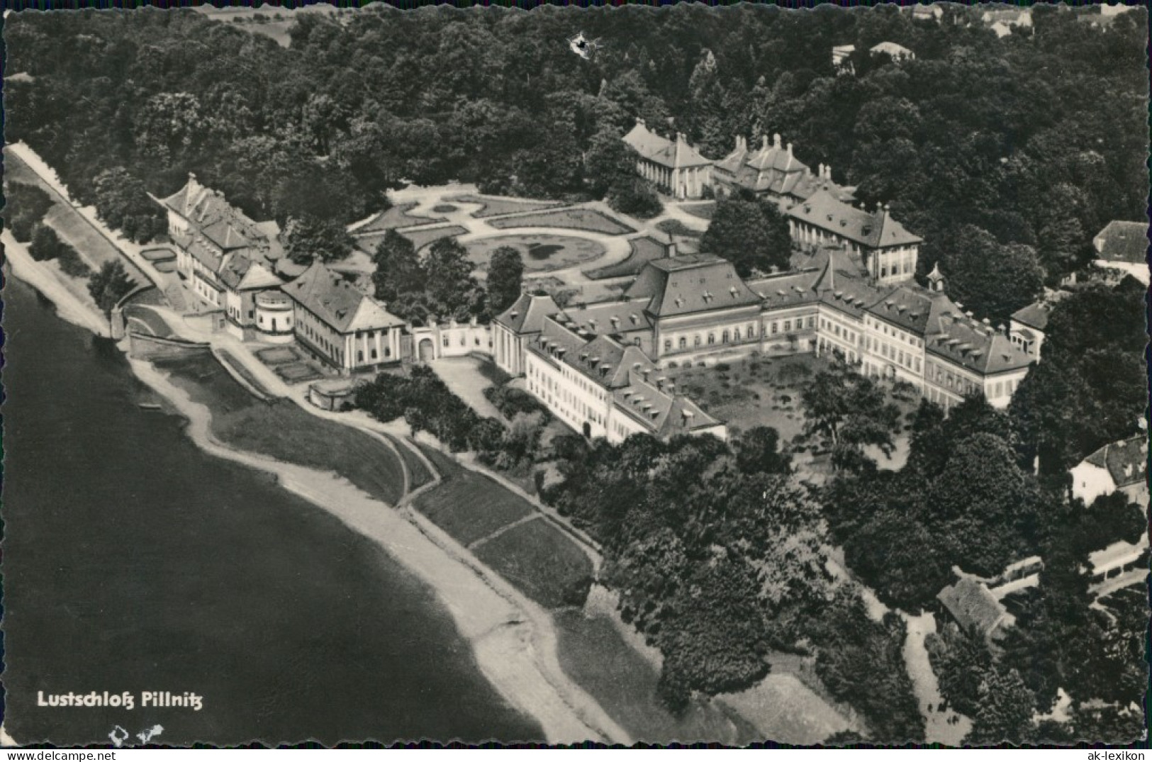 Pillnitz Luftbild Vom Schloss Foto Ansichtskarte B Dresden G1961 - Pillnitz