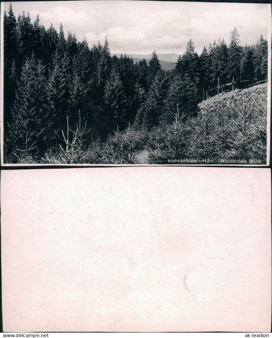 Ansichtskarte Hahnenklee-Bockswiese-Goslar "Weidentals Blick" 1940 - Goslar