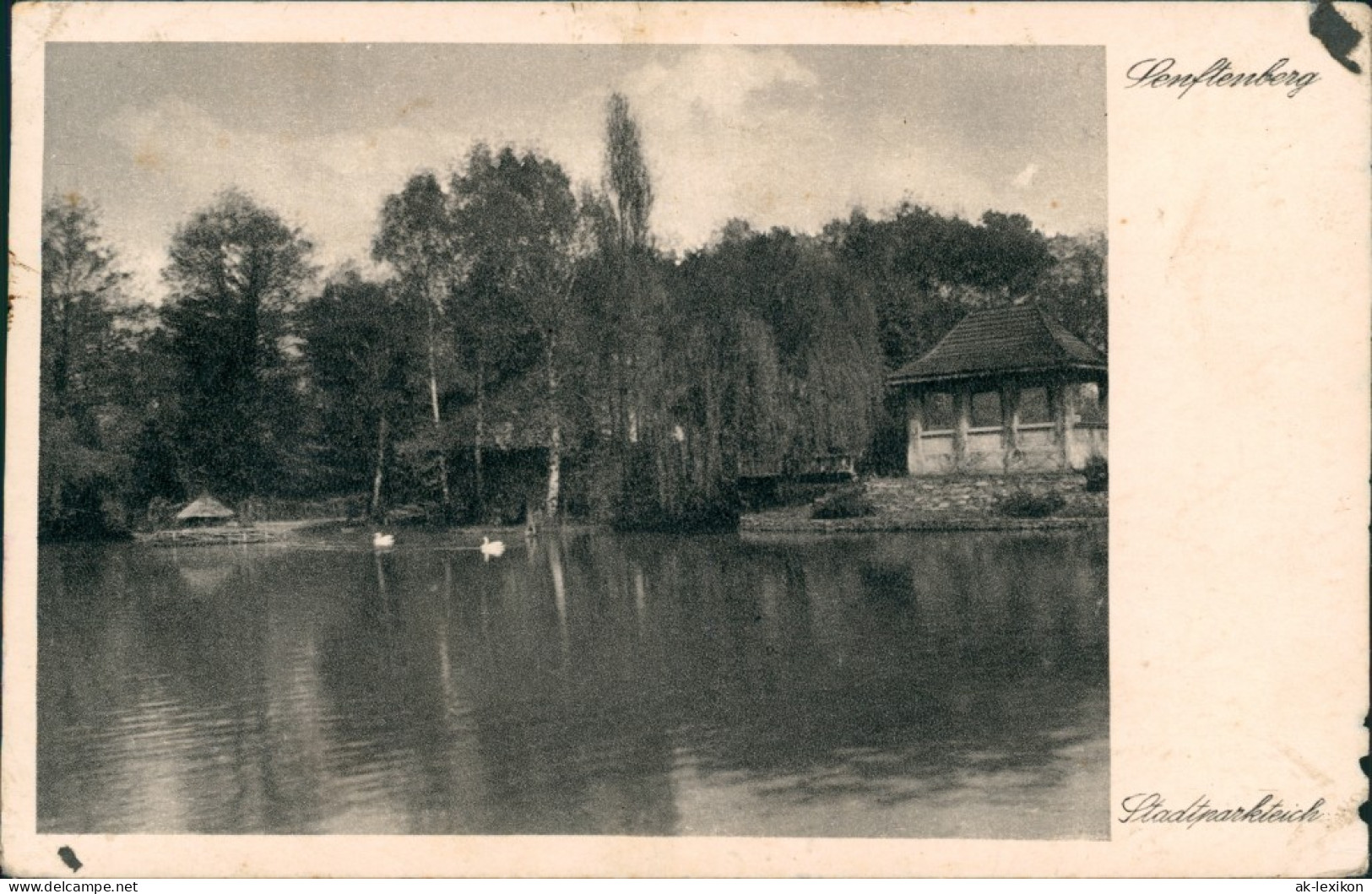 Ansichtskarte Senftenberg (Niederlausitz) Pavillon - Stadtparkteich 1941  - Senftenberg