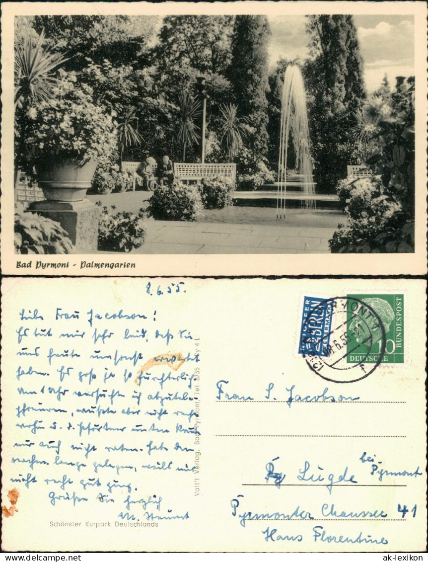 Ansichtskarte Bad Pyrmont Kurpark - Palmengarten 1955 - Bad Pyrmont