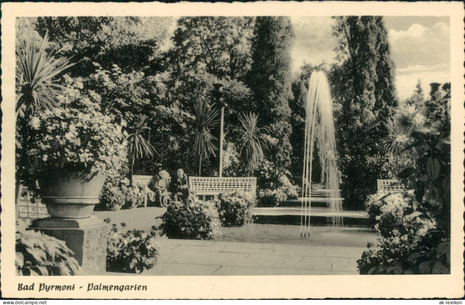 Ansichtskarte Bad Pyrmont Kurpark - Palmengarten 1955 - Bad Pyrmont