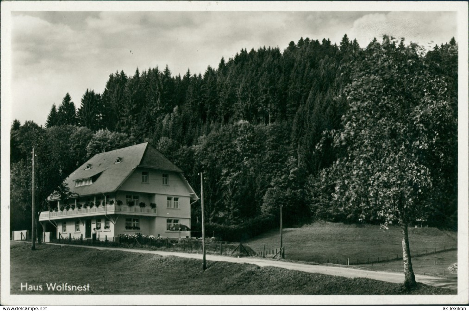 Ansichtskarte Hinterzarten Haus Wolfsnest 1939 - Hinterzarten