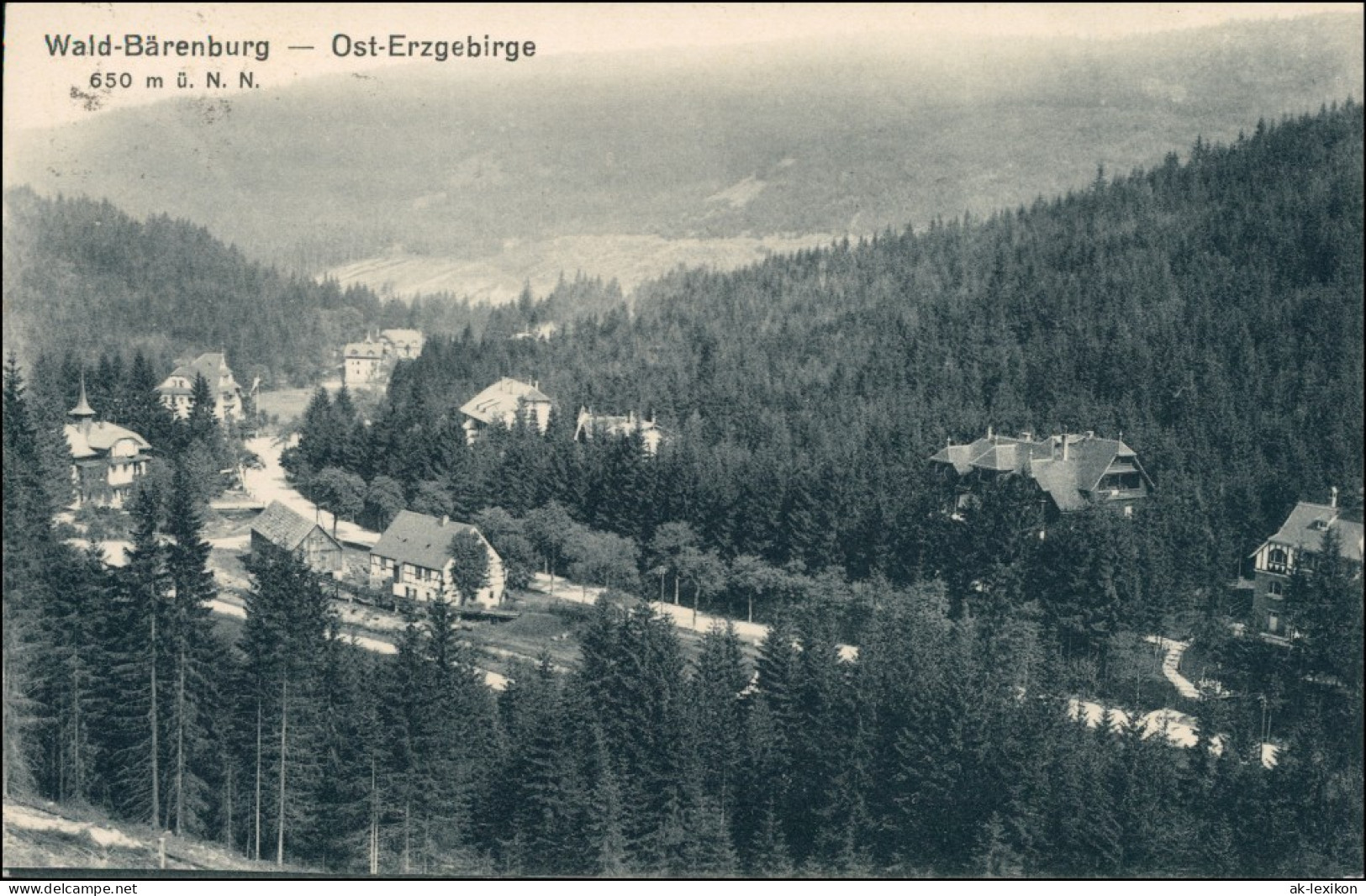 Ansichtskarte Waldbärenburg-Altenberg (Erzgebirge) Blick Auf Die Stadt 1916  - Altenberg