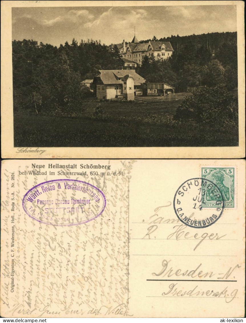 Ansichtskarte Schömberg (Schwarzwald) Blick Auf Die Heilanstalt 1914  - Schömberg
