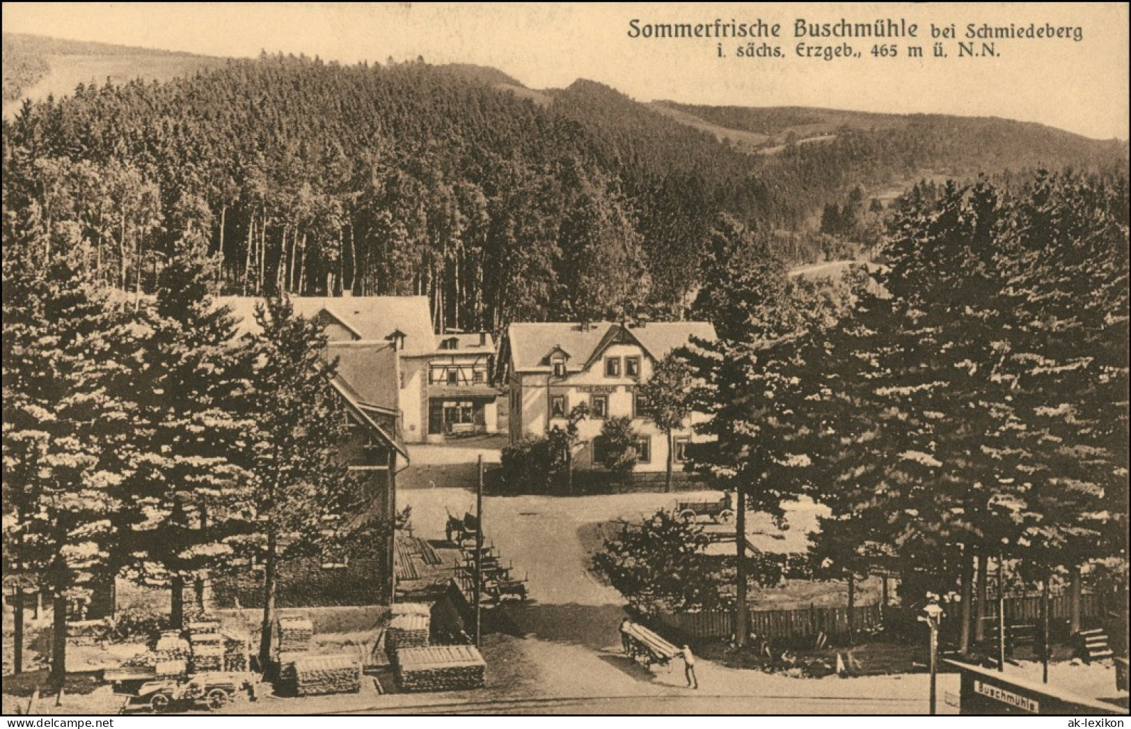 Schmiedeberg (Erzgebirge)-Dippoldiswalde Sommerfrische Buschmühle 1909  - Schmiedeberg (Erzgeb.)