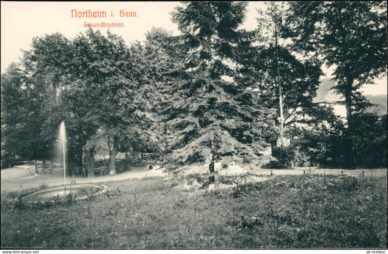 Ansichtskarte Northeim Haus, Parkpartie - Gesundbrunnen 1913  - Northeim