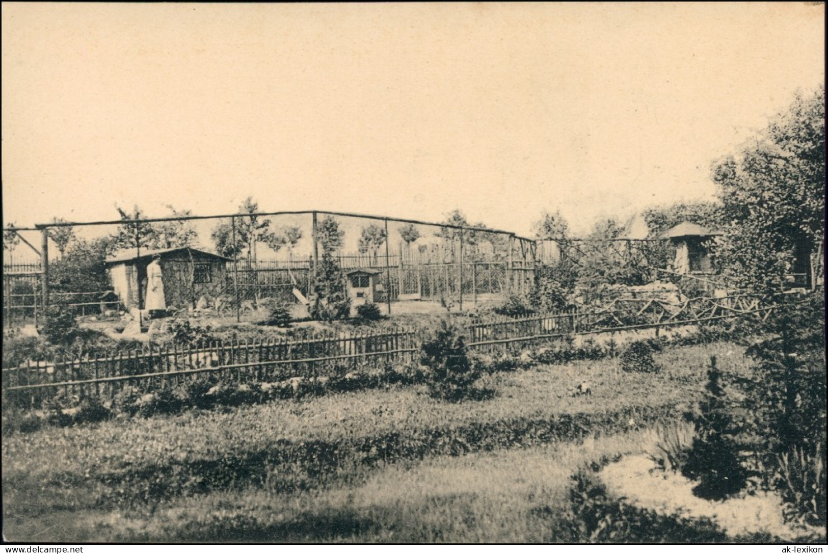 Ansichtskarte Freiberg (Sachsen) Sommerfrische Waldcafe - Wildpark 1911  - Freiberg (Sachsen)