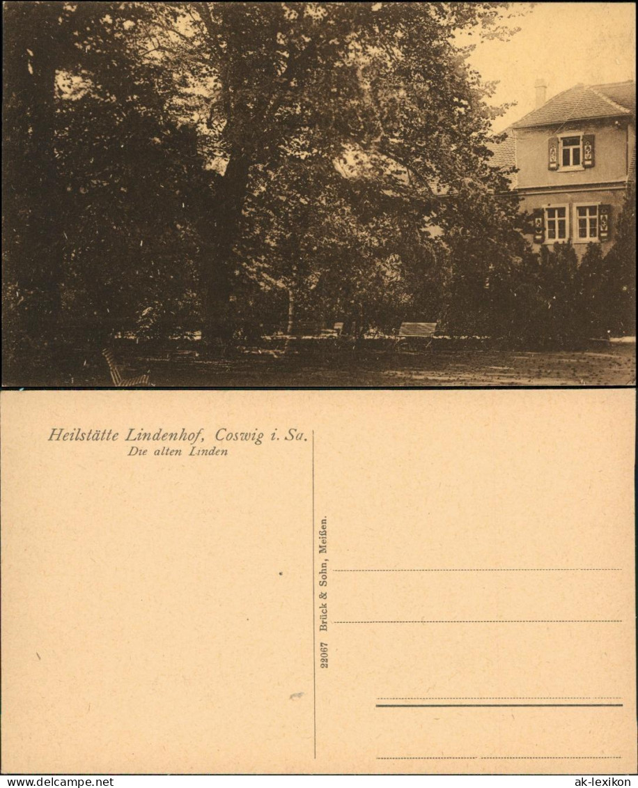 Ansichtskarte Coswig Sachsen Haus Die Alten Linden Heilstätte Lindenhof 1914  - Coswig
