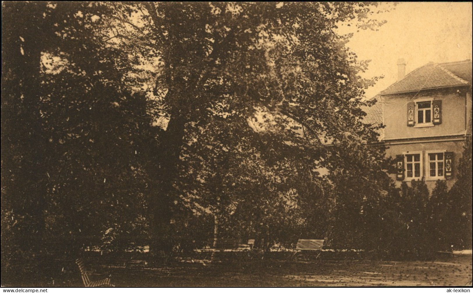 Ansichtskarte Coswig Sachsen Haus Die Alten Linden Heilstätte Lindenhof 1914  - Coswig